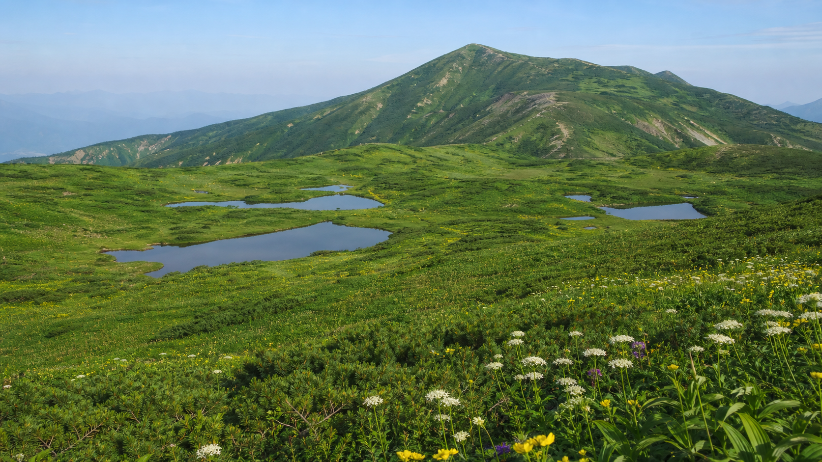 湿原と池塘を抱く高山を望む会津駒ヶ岳のイメージ