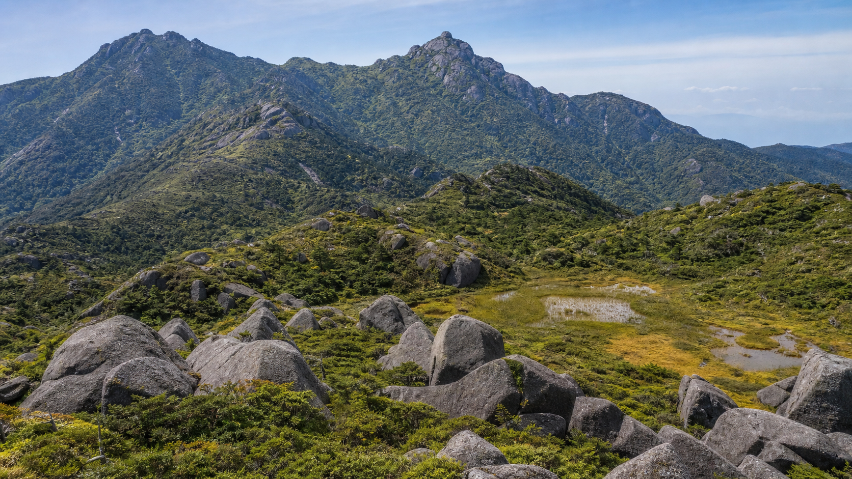 屋久島の巨木林と高層湿原を望む宮之浦岳のイメージ