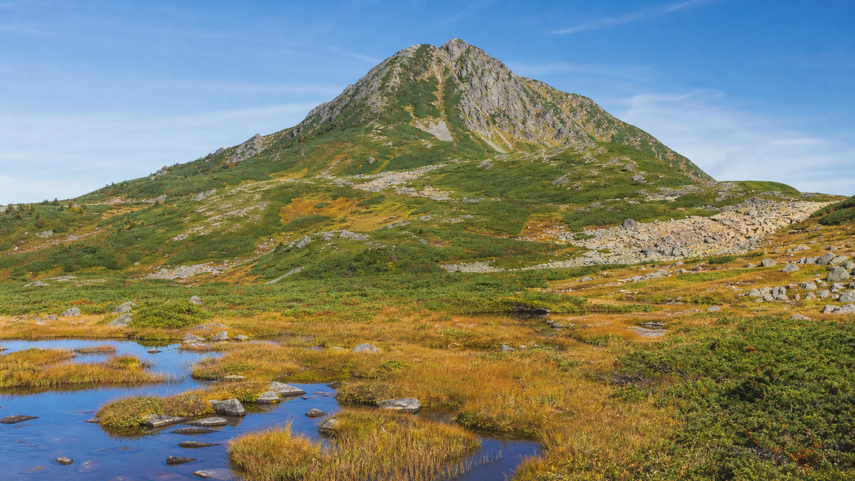 蛇紋岩と高山植物の山を望む至仏山のイメージ