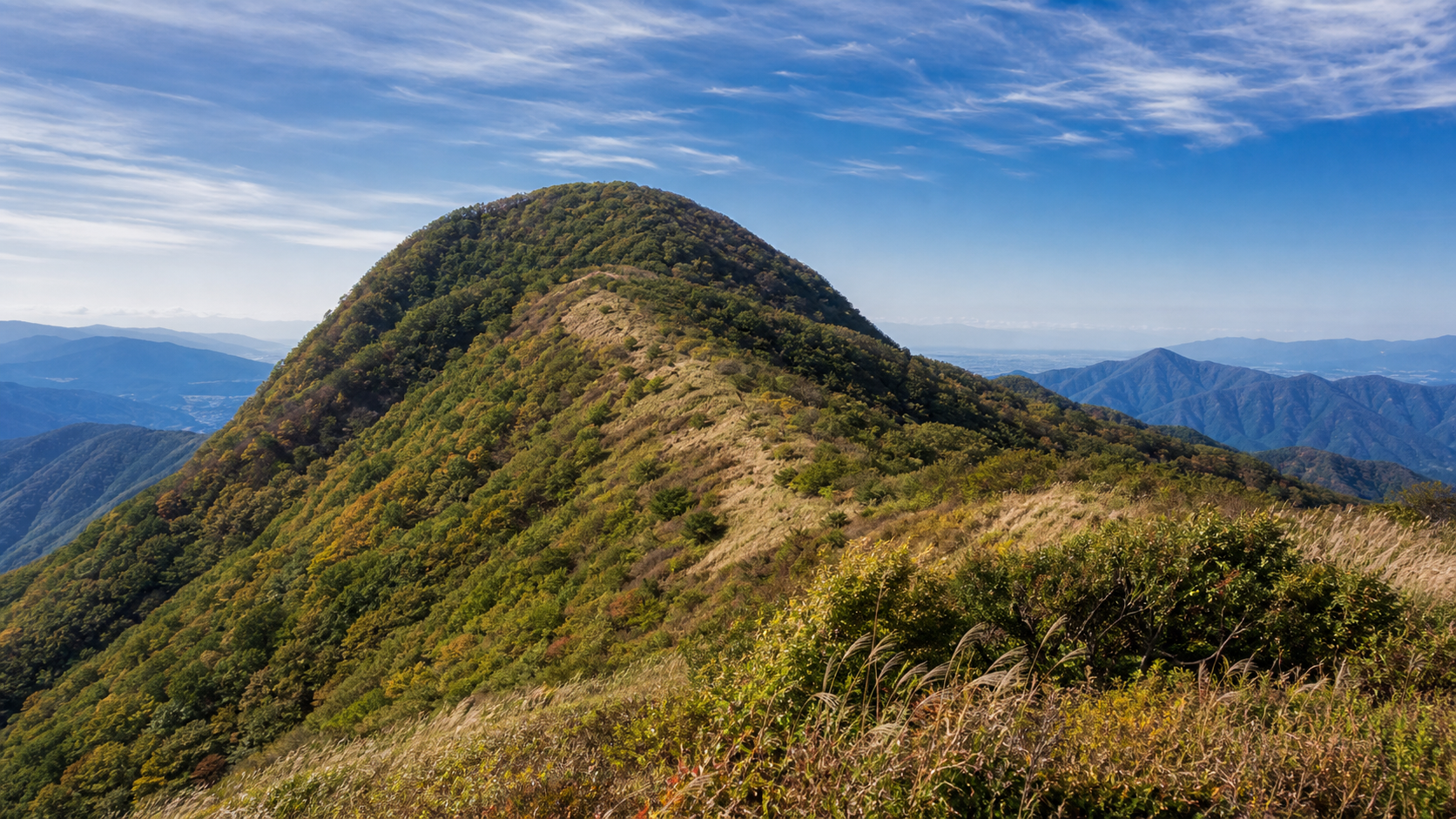 ブナ林と丹沢山をイメージした画像