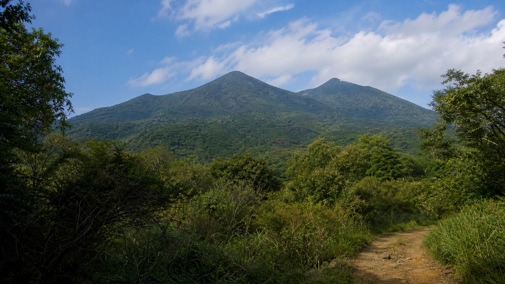 二つの峰と森林を望む筑波山のイメージ