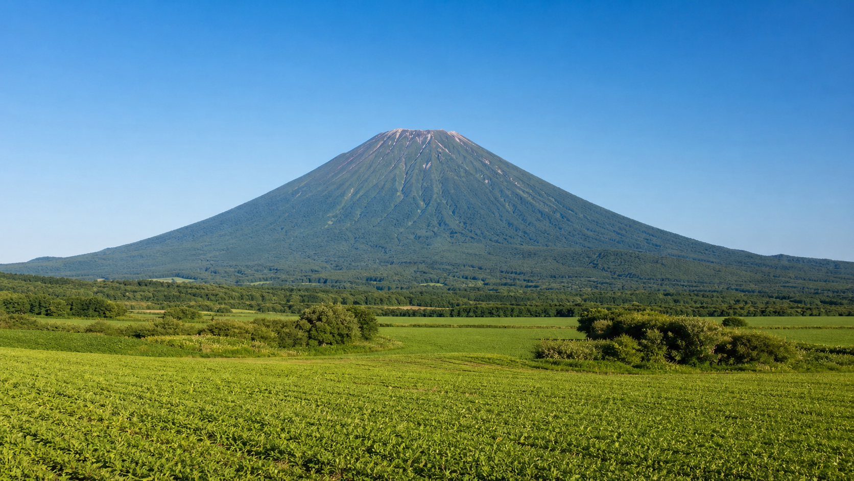 独立した火山の山容を望む羊蹄山（後方羊蹄山）のイメージ